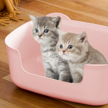 Open Cat Litter Box with High Sides and Low Entry