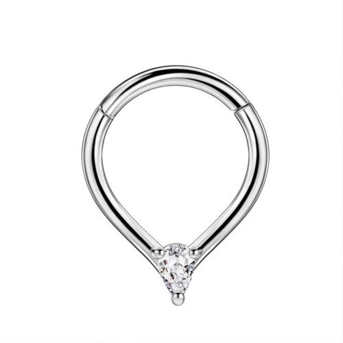 Titanium neusring met micro-zirkonia steentjes