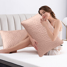 Quilted Pillowcases Set of 2 Hotel Quality Polyester