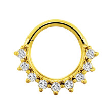 Argola de nariz em titânio com microzircônia cúbica