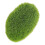 Decorative Moss Rocks Green 1 Piece 1