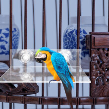 Parrot Platform Cockatoos Bathroom Accessory 1 Piece
