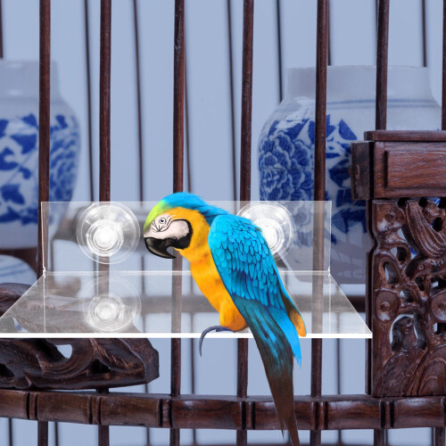 Parrot Platform Cockatoos Bathroom Accessory 1 Piece