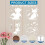 Dragon Stencil Set Reusable 11.8 Inch 4 Pieces 4