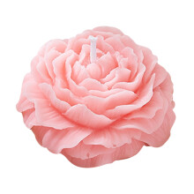 Bougies chauffe-plat parfumées à la rose rose (lot de 12)