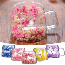 Mug en verre à double paroi 200 ml, parfum fleurs séchées