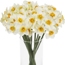 Jonquilles artificielles jaunes, 12 pièces, 40 cm (15,8 pouces)
