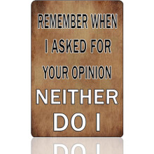 Plaque en métal « Interdit aux imbéciles au-delà de ce point » 20 x 30 cm