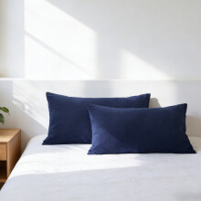 Housses de coussin en microfibre antidérapantes standard (lot de 2)
