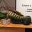 Peluche Poisson-dragon, texture réaliste, 81 cm 1