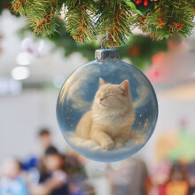Christmas Ornaments Cute Cat Clear Balls 3D Snow Globe with