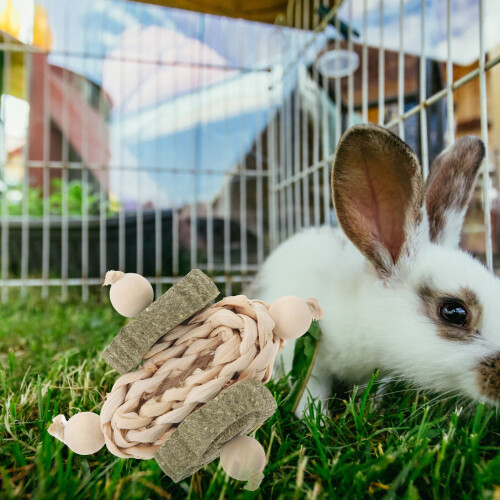 Rabbit Chew Toys for Teeth Care and Play 1
