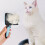 Self-Cleaning Pet Comb 9.45 x 5.12 in with Needle Teeth, 2