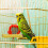 Bird Cage Claw Sharpening Rod for Small Birds 1pc 1