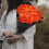 Halloween Eyeball Silk Roses Gothic Bush 10szt 6