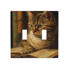 Double Toggle Wall Plate Light Switch Cover 2 Gang