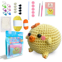Crochet Starter Kit for Beginners with Tools and Tutorials