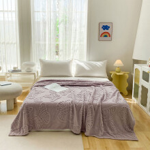 Coral Fleece Blanket Butterfly Pattern 50x60 Inch