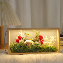 Photo Frame Dry Flower Display Box Forest Theme Double Sided