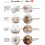 Magnetic Curtain Tiebacks Thick Twist Rope with Strong 5