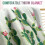 Cactus Blanket Green Plush Throw 50x60 inches 3