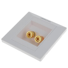 Gold Plated Home Theater Wall Plate with 2 Banana Plug