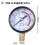 Y60 Pressure Gauge 0-1.6 MPa for Pool Filter 2