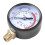 Y60 Pressure Gauge 0-1.6 MPa for Pool Filter 6