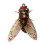 Bionic Fly Fishing Bait Dry/Wet Flies 20PCS 1