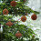 Flocked Christmas Balls Set Brown 6-Piece 4