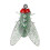 Bionic Fly Fishing Bait Dry/Wet Flies 20PCS 1