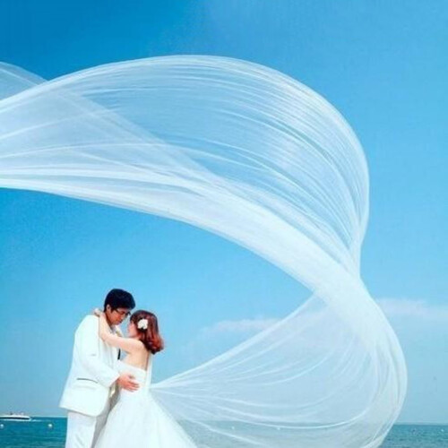 White Wedding Veil Single Layer 5M Trailing 1