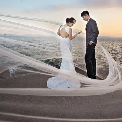 White Wedding Veil Single Layer 5M Trailing 2