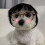 Cat Wig Soft Pet Costume Accessory 4.68 Inches 7