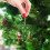 Personalized Tree Pendant with 26-Letter Alphabet 5