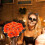 Halloween Eyeball Silk Roses Gothic Bush 10szt 5