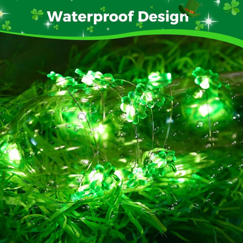 St. Patrick's Day LED-lampor inomhus 2M 20LED batteritimer 2