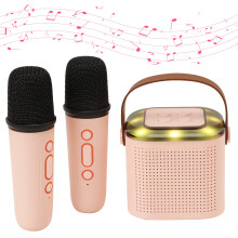 LELINTA Portable Bluetooth Karaoke Machine with 2 Mics and