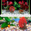 鱼缸景观装饰 realistic 水车式增氧器 1件 7