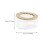 Transparent Hamster Sand Bath Case Plastic Compact 1 Pack 2