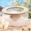 Transparent Hamster Sand Bath Case Plastic Compact 1 Pack 5