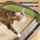 Large Cats Litter Box 14x11x5" Corner Design with 4