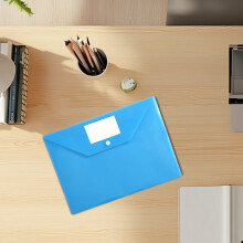 Clear Plastic File Folders with Label Pockets and Snaps,