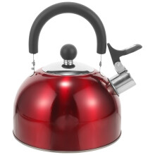 Stainless Steel Whistling Tea Kettle with Handle