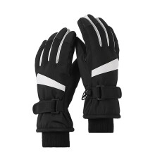 Waterproof Insulated Ski Gloves BK1