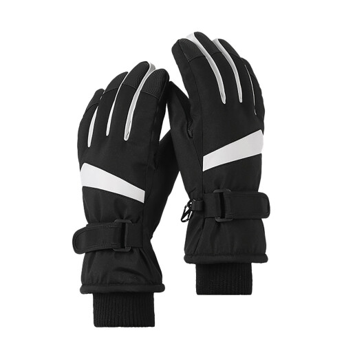 Waterproof Insulated Ski Gloves BK1