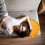 Round Cushion Yellow Decorative Throw Pillow 1 Pack 5