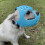 Dog Muzzle for Short Snouts Breathable Rubber 1 Piece 6