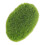 Decorative Moss Rocks Green 1 Piece 5