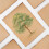 Handmade Antique Deckle Edge Blank Cards 50 pcs 4x6 inch 6